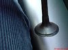 DSC01236.jpg