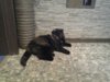 WP_003566.jpg