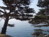 DSC01742.JPG