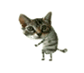 35725a110a6a03c02e6afe950932b387.gif