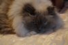 DSC06574.JPG