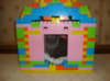 DSC09464.JPG
