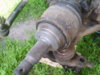 S8001621.JPG