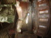 S8001632.JPG