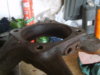S8001645.JPG