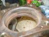 S8001644.JPG