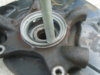 S8001655.JPG