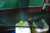 DSC02597.JPG