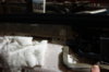 DSC02586.JPG