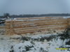 S8002136.JPG