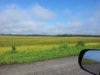 20150714_072959.jpg