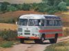 8190781vzi.jpg
