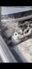 EBB57358-FBE2-4FC0-8B49-2B41EA604D2C.png