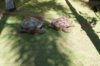 DSC03020.JPG