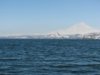 IMG_0481.JPG