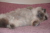 DSC05083.JPG