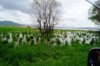 DSC06039.JPG