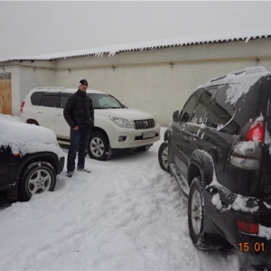 пашавирус прадо.jpg
